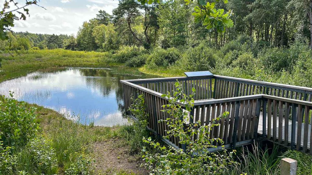 Beobachtungsplattform Schnaakenmoor