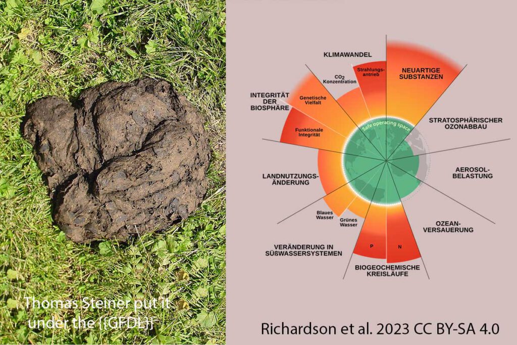 Kuhfladen und planetare Grenzen - Biodiversität