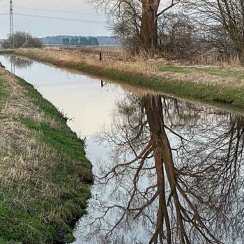Pinnau als Kanal - beidseitig eingedämmt